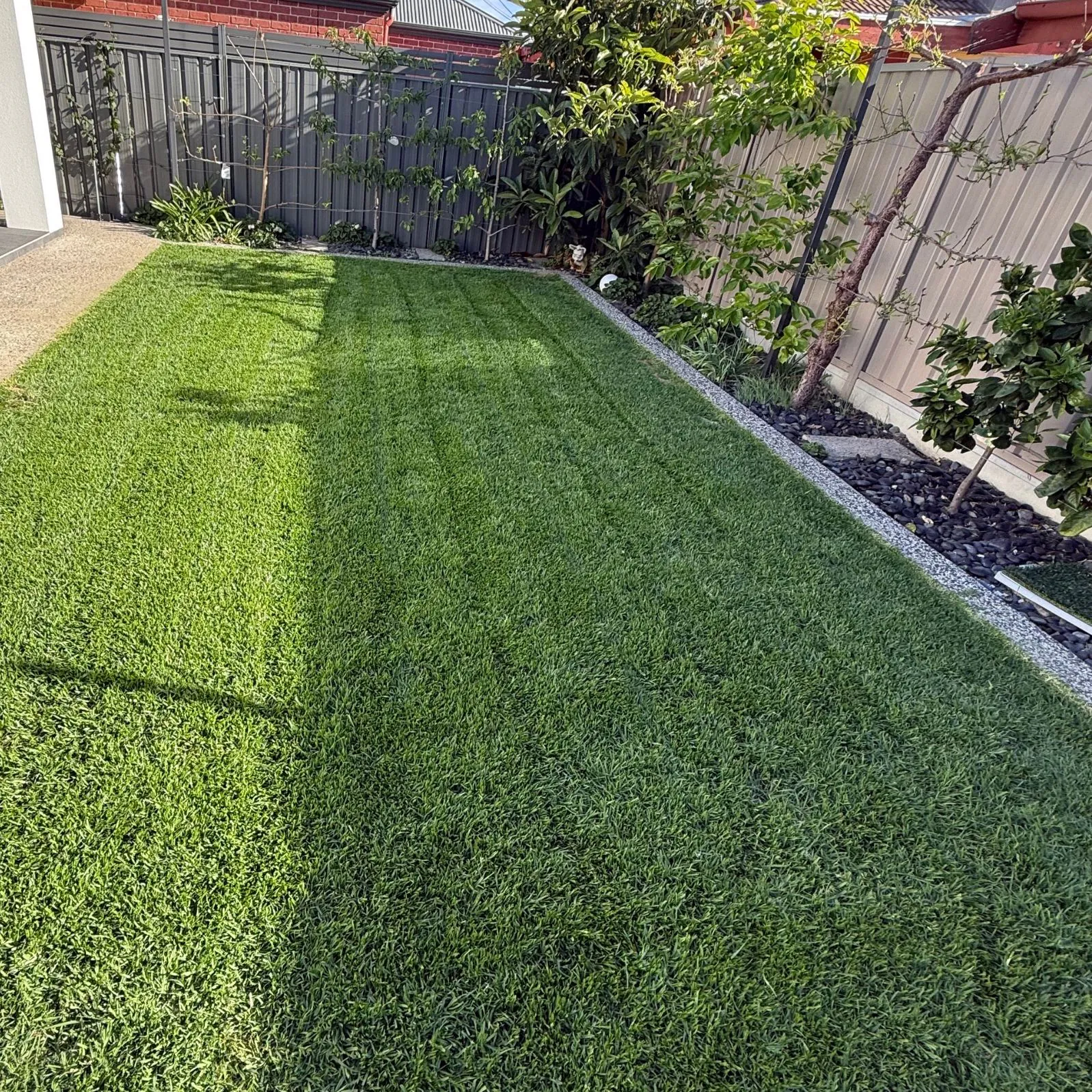 A backyard two weeks after a lawn renovation by Frank: thick, striped green grass
